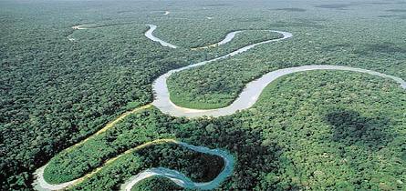 20080929223105-amazonas.jpg