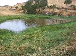20081006172432-charcas.jpg